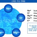 힐 동물병원 이미지