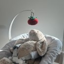 메디코아내과의원 이미지