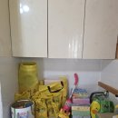 에코키즈스테이 이미지