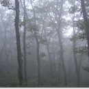 시인의마음 이미지