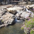 새재골산장민박 이미지