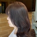 오르다헤어 이미지