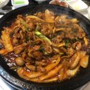 햇살마루 청둥오리 이미지