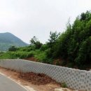 대교부동산공인중개사사무소 이미지
