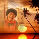 순금농장 이미지