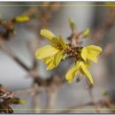 대성중학교 이미지