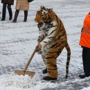 잭스페로