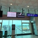 스타럭스 | 부산에 취항한 스타럭스를 타고 귀국하다,스타럭스 JX902 타이베이-부산 탑승기