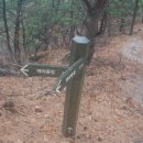 팔공산왕건길 6코스 이미지