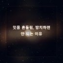 365효플란트치과의원 이미지