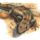 덕소자연사박물관 이미지