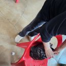 순자네밴댕이집