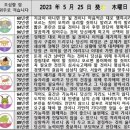 2023년 5월 25일 운세 및 세상 소식 이미지