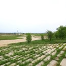 세도 금강변 이미지