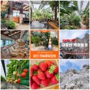 대둔산농장 이미지