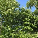 휴암로(2) 이미지