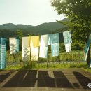 섬강매향골체험휴양마을협의회