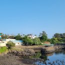 앞개포구 이미지