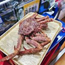 노량진수산시장 대게 킹크랩 맛집 친절하고 가격좋은 황금수산 방문후기