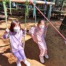 조치원신봉초등학교 이미지