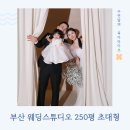 아덴샵 | 부산 웨딩스튜디오 아덴스튜디오, 리마인드 웨딩촬영 후기