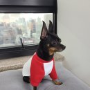 기초교육 ? 자수 이미지