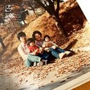 육회실장 네이버블로그