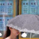 한국공인 공인중개사무소 세계일보