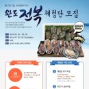 완도전복 이미지