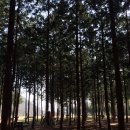 달산농장 이미지