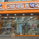 고양제일큰약국 네이버블로그