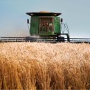 금은농장 이미지