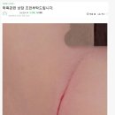 초4가 저지른 학폭수준 ;;; 이미지