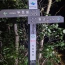 *****백두대간6차/구룡령-동대산(1434m)-진고개*****24년 8월11일(일) 이미지