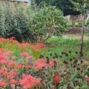 압해동초등학교 이미지