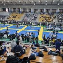 대구신월초등학교 이미지