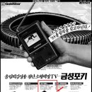금성BS