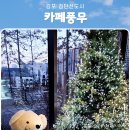 테라워시 김포풍무점 | 김포 카페풍무 실제후기, 주차부터 메뉴까지