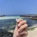 제주 아라동 네일 뮤네일 이달의아트 추천