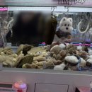 뽑기1번가 이미지