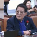 박지원 &#34;김건희 육성 터져나와도 검찰 침묵, 이러니 특검&#34; 법무차관 답변은 이미지