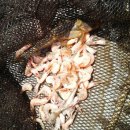 그물과물고기 이미지