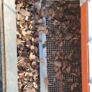 아이코리아부속새세대유치원 이미지