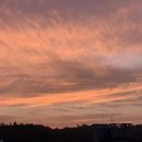 신반포로43길 30 이미지