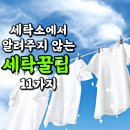 세탁소에서 알려주지 않는 세탁 꿀팁 이미지