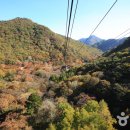 내장산 관광안내소 이미지