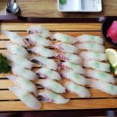 바다회초밥 이미지