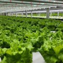 오송팜㈜ 이미지