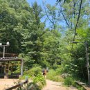 벽운클럽 이미지