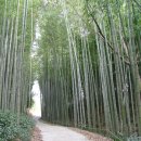 대나무골농장 이미지